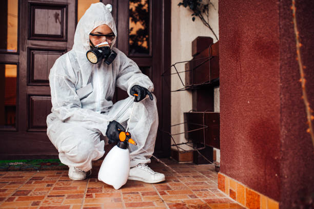 Attic and Crawl Space Rodent Treatment in Montgomery